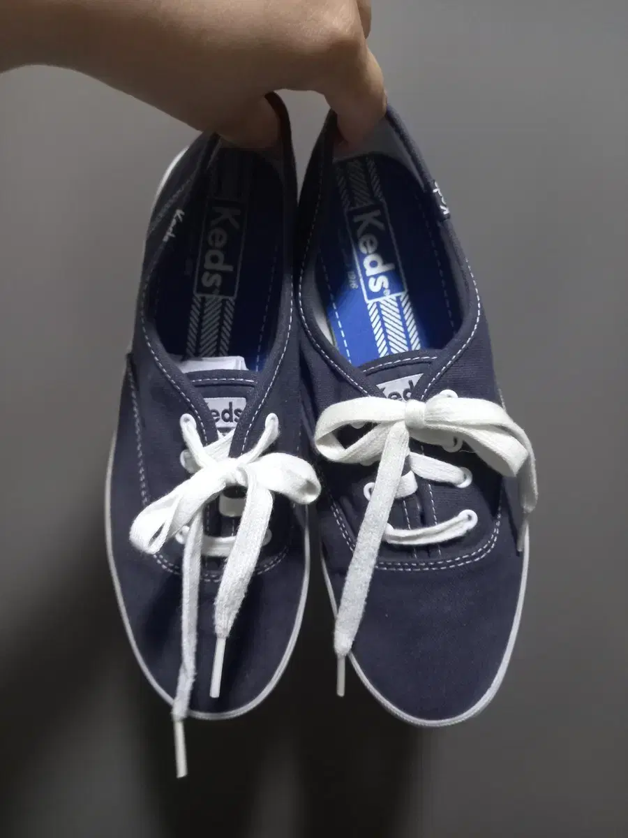 37 케즈 운동화 240 keds